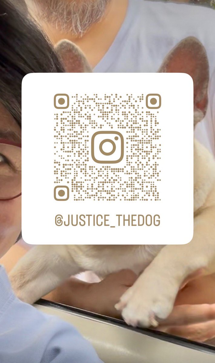 Gang Capati π΅π (@gangbadoy) on Twitter photo FRIENDS (also) on Instagram!
Please follow <a href="/Justice_TheDog/">Justice The Dog</a> !
He will turn 13 this July 7!
Wala lang, elderly dog wants more followers. Haha. FRIENDS (also) on Instagram!
Please follow <a href="/Justice_TheDog/">Justice The Dog</a> !
He will turn 13 this July 7!
Wala lang, elderly dog wants more followers. Haha.