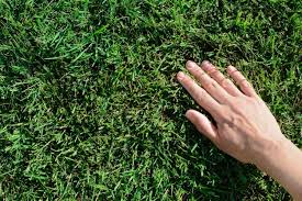 Anna56977899's tweet photo. OpenSea touching grass  #openseatouchgrass https://t.co/Lvw4VgzdkN