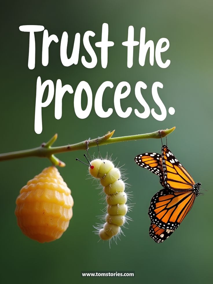 POSITIVITY (@positivitysaid) on Twitter photo 
