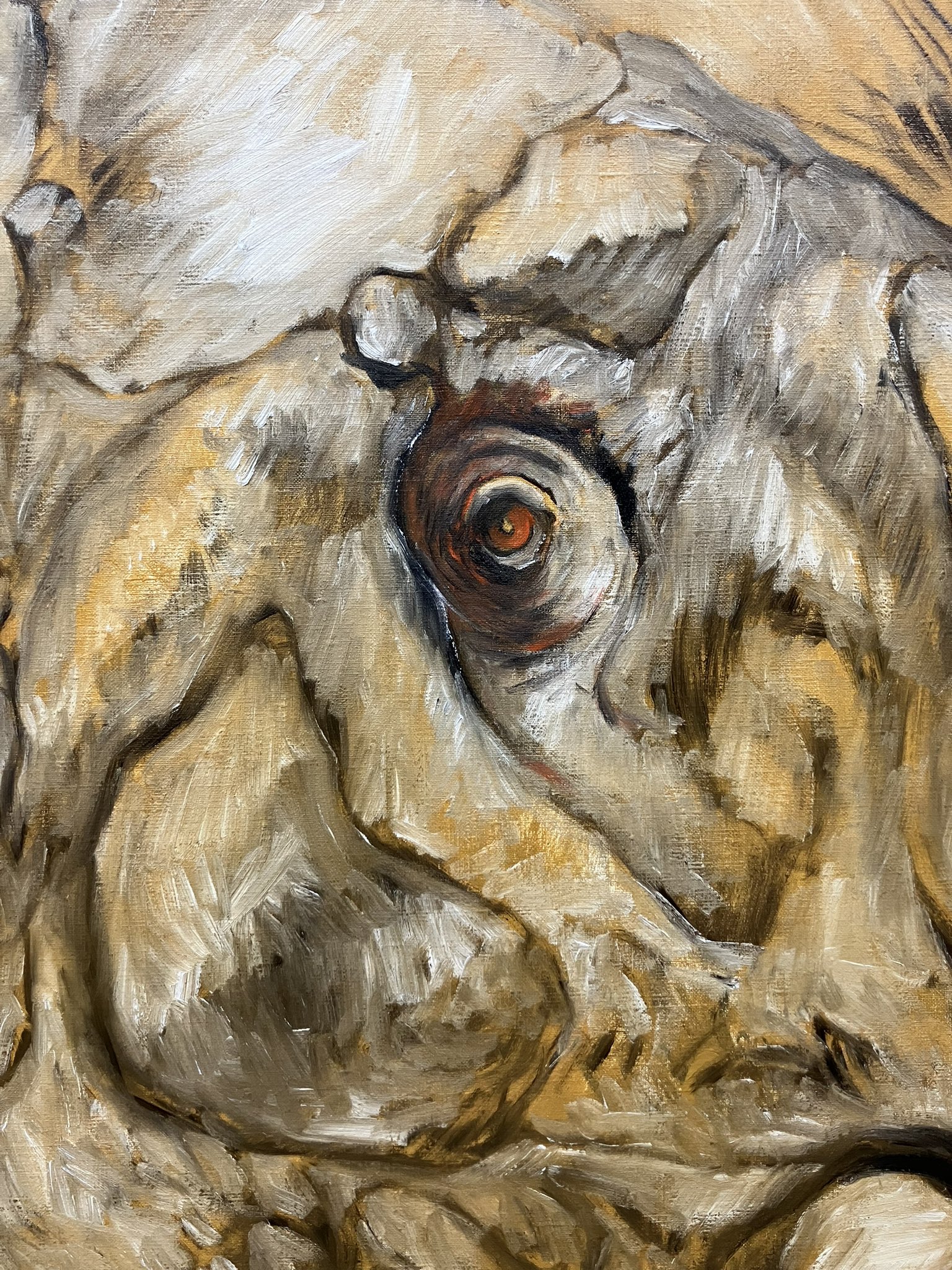 未完の始まり 未来のヴンダーカンマー展」（豊田市美術館）感想