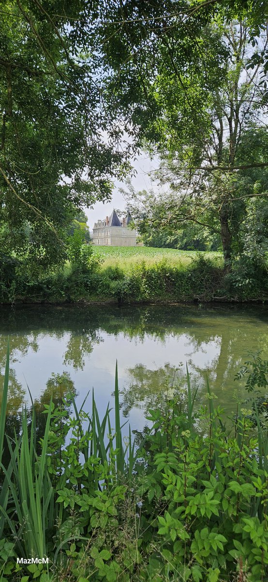 A much needed breath of air along La Boutonne. 
All glorious and green 
##mobilephotography #reflections