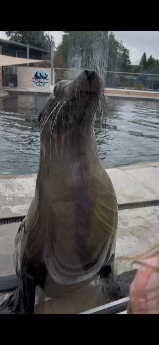 Fiona Loose tweet media