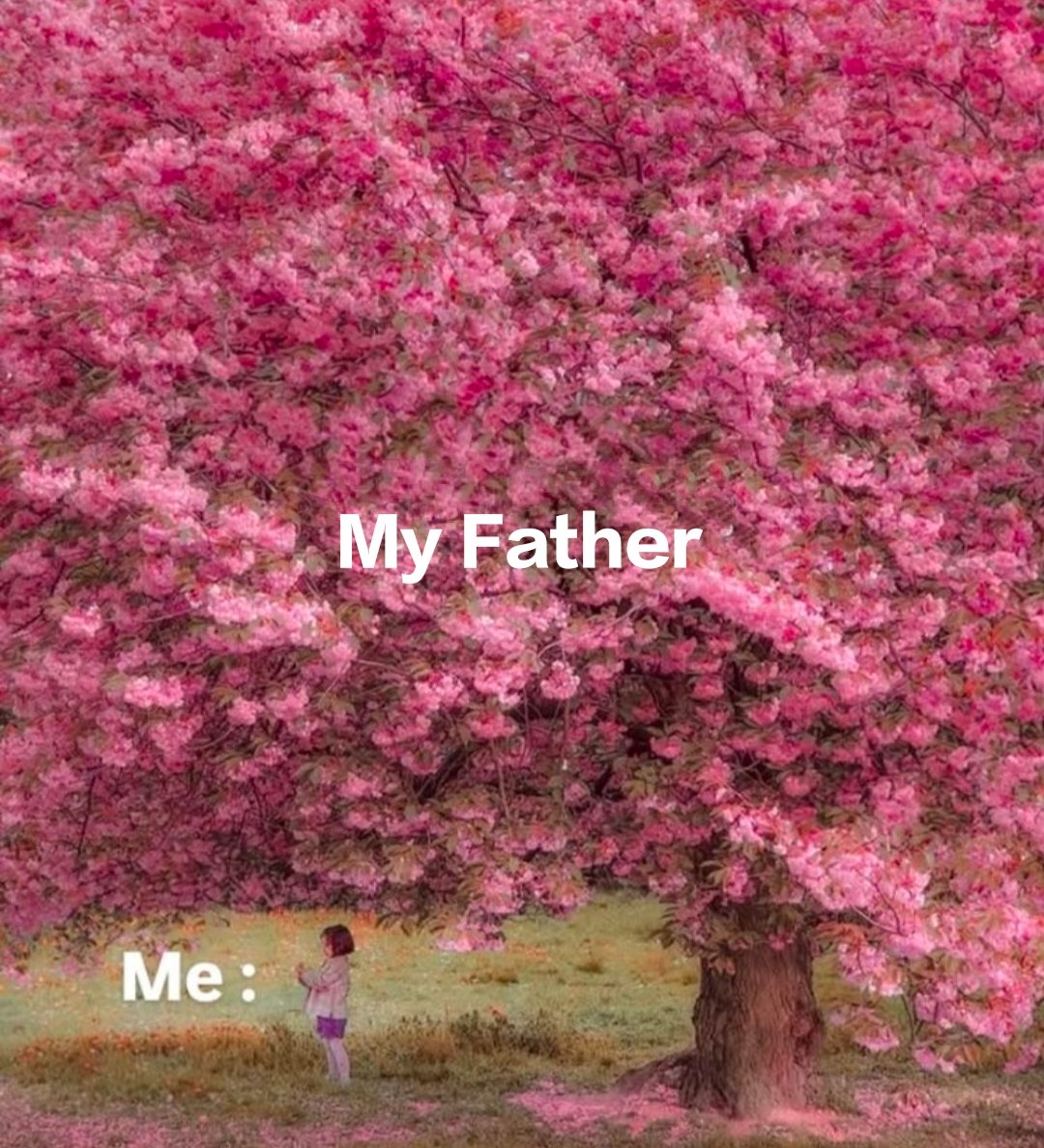 fathers are the best 💐