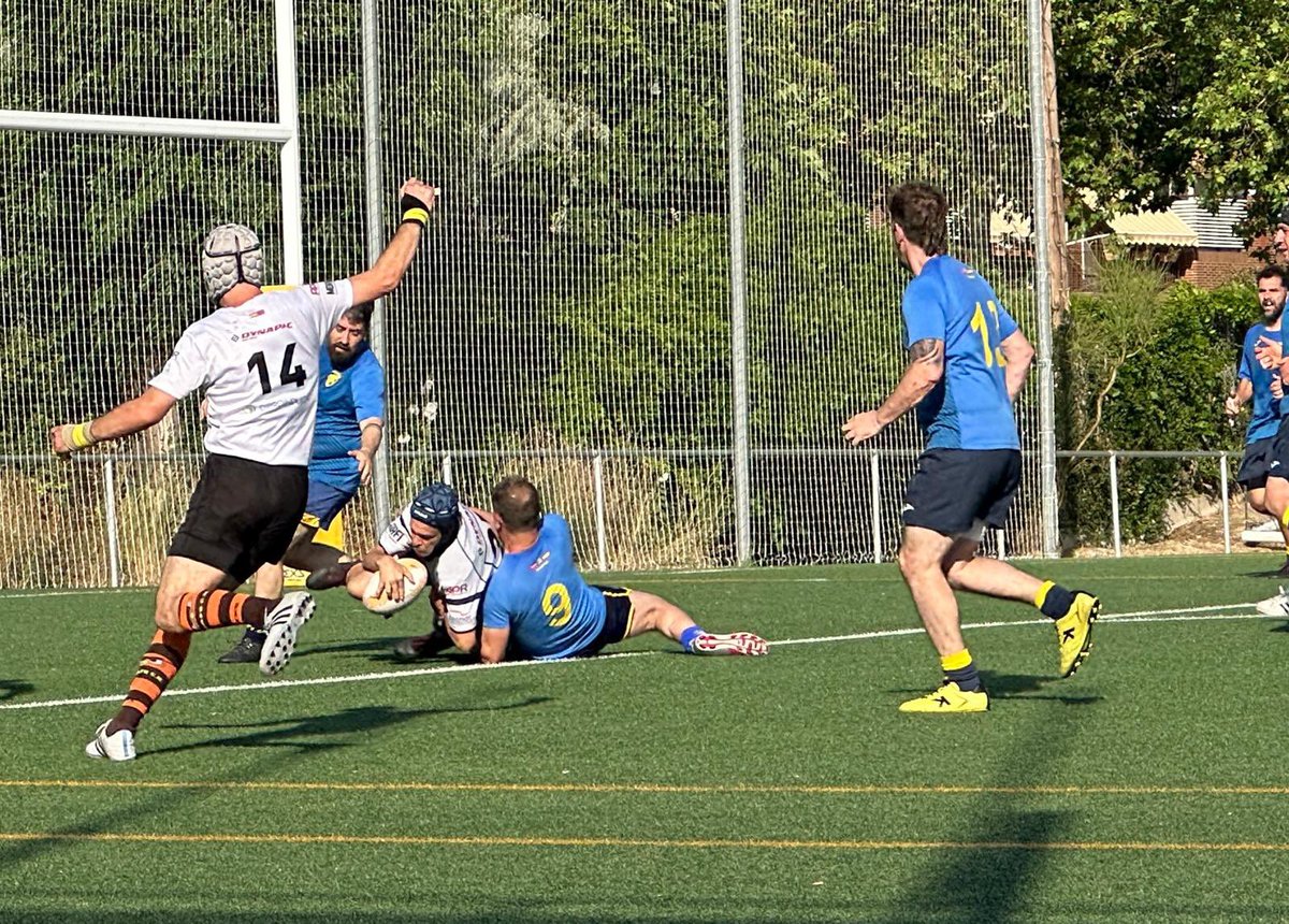 guspuente11's tweet photo. 🐯 Ayer disfruté como un enano echando una grandísima tarde con mis hermanos del @RugbyAlcorcon  “jugando” con los veteranos contra Fuencarral 🏉

¡Sois muy grandes! Esta semana me va a costar olvidarme de vosotros, sobre todo cada vez que tengo que apoyar la rodilla derecha 😂 https://t.co/TrhjXa0nwD