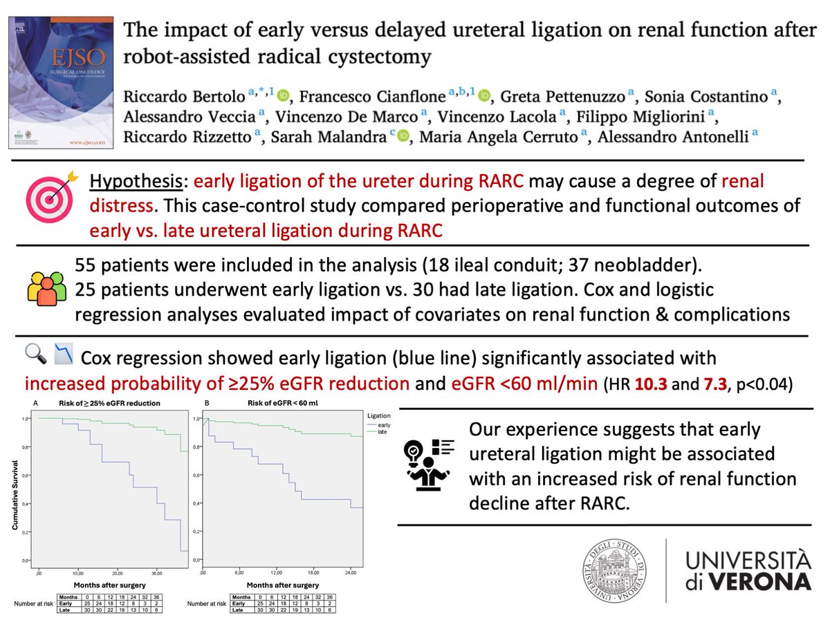 RicBertolo's tweet image. โผ๏ธnew study by @UniVerona #urology teamโผ๏ธ
We explored effects of early vs delayed ureteral ligation during #RARC: early ligation associated with โฌ๏ธ risk of functional decline, with significantly โฌ๏ธ chance of โฅ25% reduction in eGFR and eGFR &lt;60 ml/min (HR 10.3 and 7.3, p&lt;0.04)
