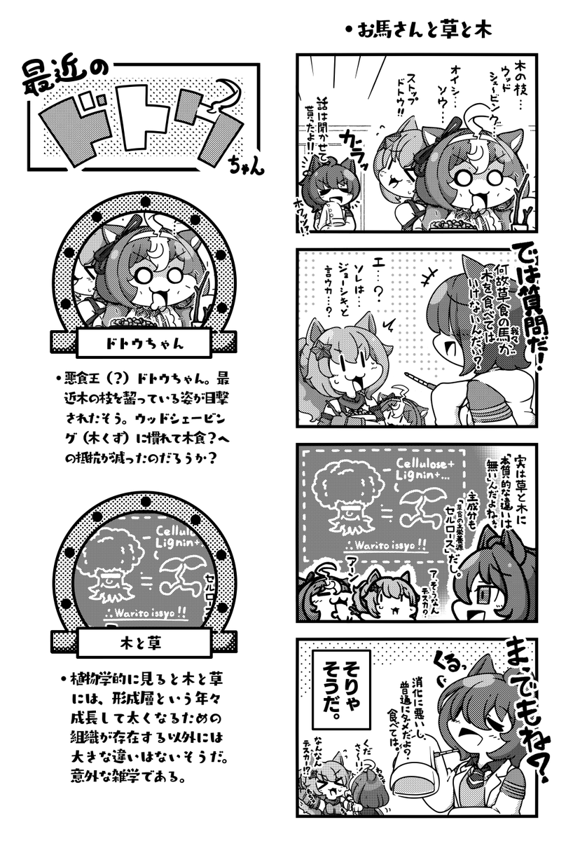 #2025年自分が選ぶ今年上半期の4枚
ドトウチャンカワイイ!! 
