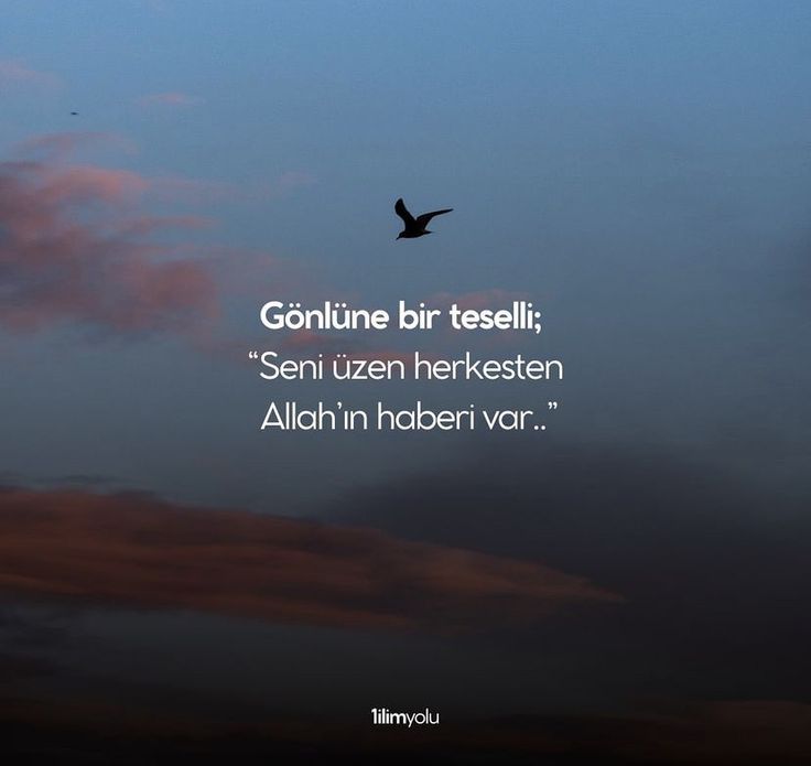 Monna Rosa (@ayaserenat) on Twitter photo 