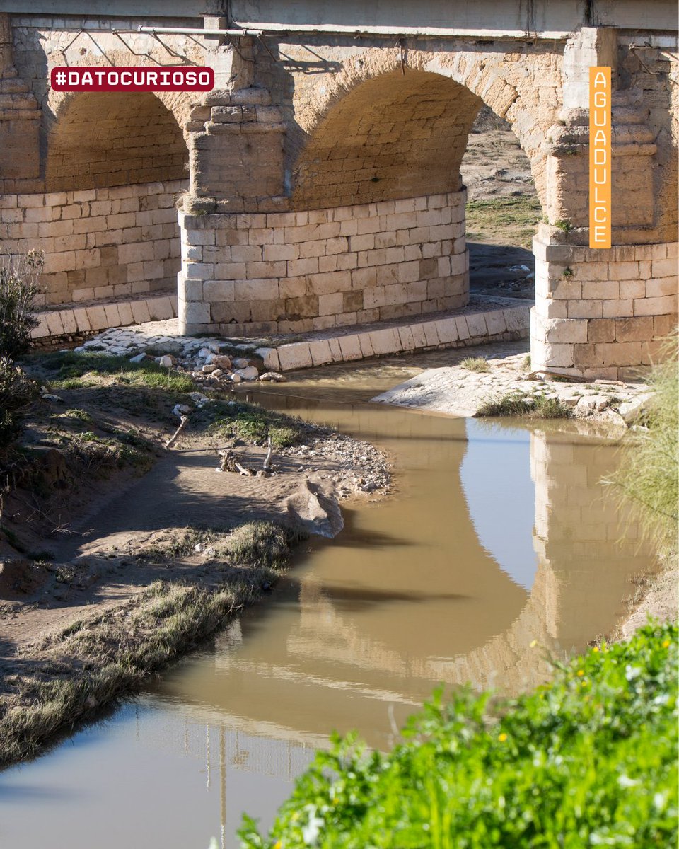 🔴 Dato curioso: El Puente de Piedra de Aguadulce (1596) se usaba para comunicar las comarcas de Estepa y Osuna. Con este puente de cinco ojos querían evitar que los aguadulceños vadeasen el río en época de crecida por los inevitables ahogamientos.

¿Lo sabias? #datocurioso