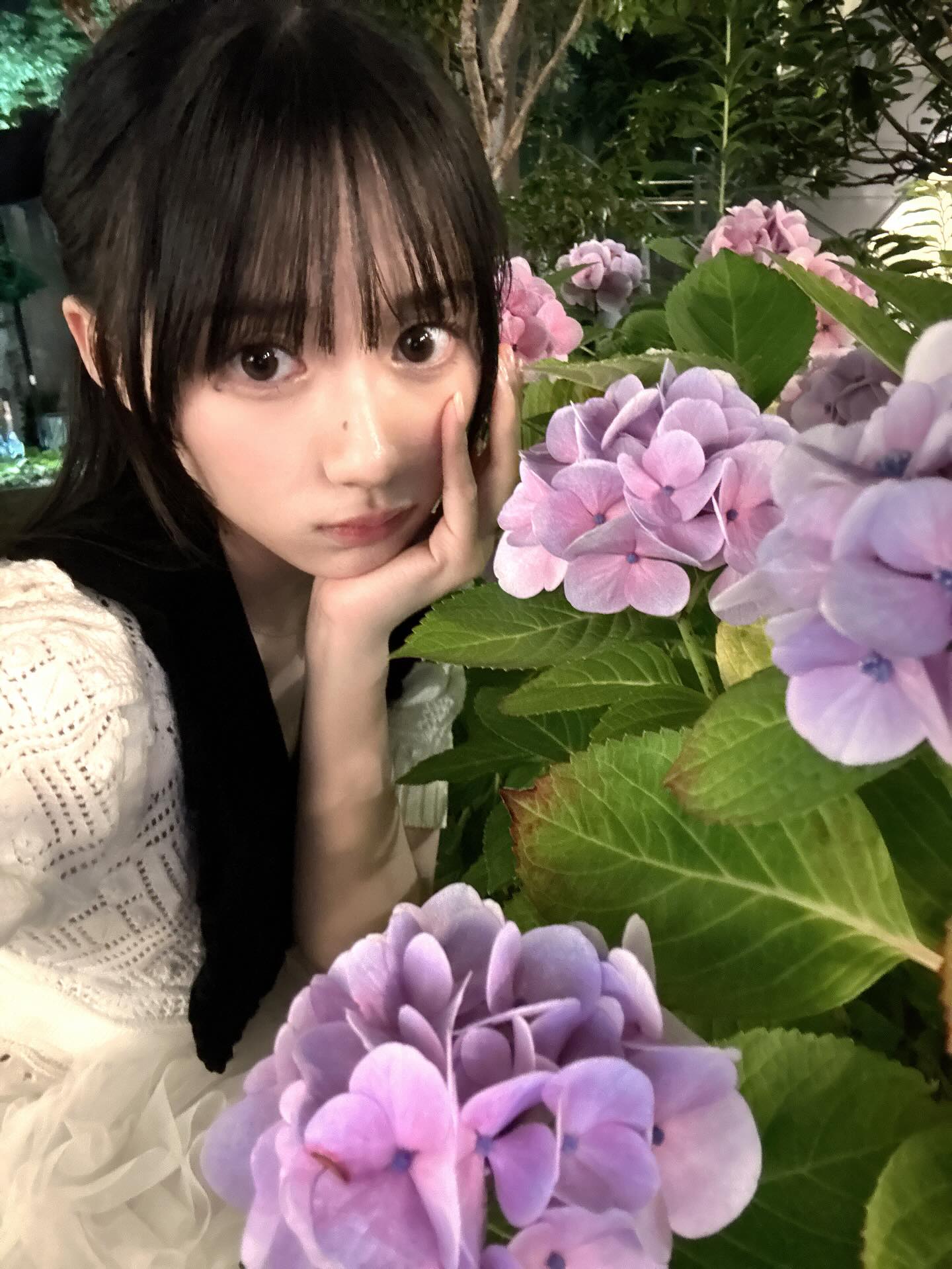 ヨヨりんご46 on X: 