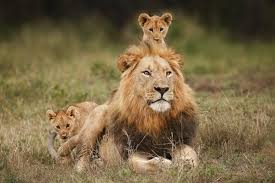 Happy Father's Day to all the lovely dads, papas, babas and daddies