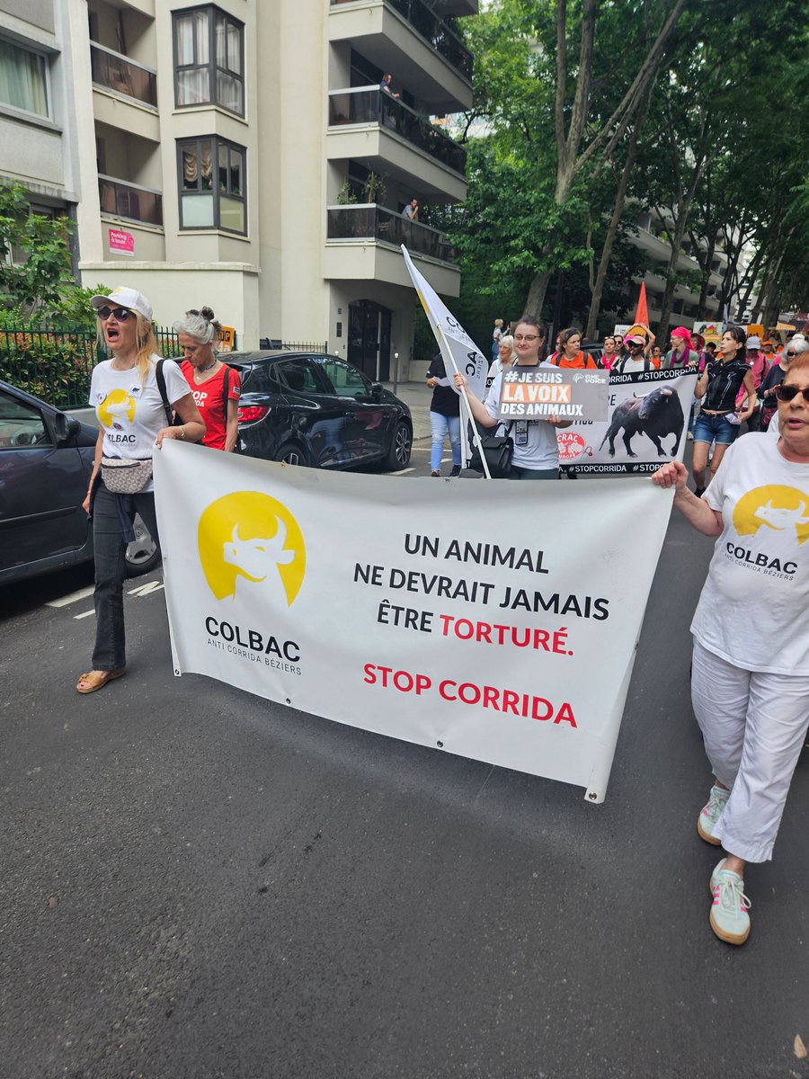 🚫 8 Français sur 10 hostiles à la #corrida. Sa cruauté est reconnue, elle est un délit pénal. 
Pourquoi rien ne bouge ? PARCE QUE LE COURAGE POLITIQUE MANQUE. Hier, nous avons marché pour dire STOP. Merci à @onevoice &amp; <a href="/AllianceEthique/">Alliance Ethique Ⓥ 🥕 😐</a>, organisateurs de la manif. #StopCorrida