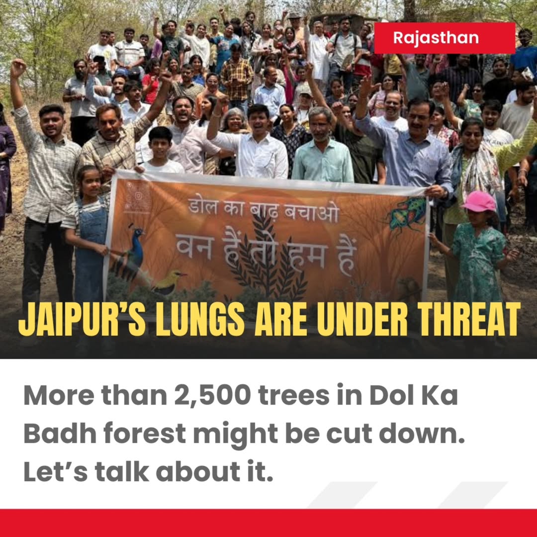 RawatAds's tweet photo. As per Rajasthan Tenancy Act, cutting trees without Collector’s approval is ILLEGAL. Then why is Dol Ka Badh forest being butchered every day?
#SaveDolkabadh #ClimateChange
@moefcc @BhajanlalBjp @KumariDiya https://t.co/M050QSXabw