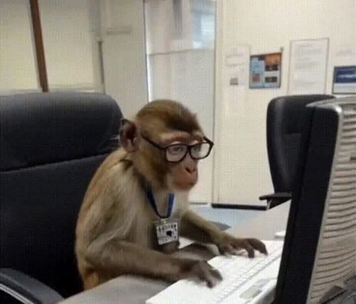 screenshot_tts's tweet photo. Eu no primeiro dia de trabalho, vendo que apaguei o banco de dados da empresa toda: https://t.co/YyMZw4be1j