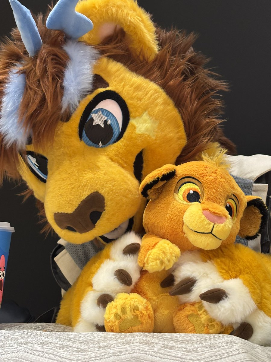 Andex_小轩 🇨🇳 (@andex_lion) on Twitter photo Simba, we are with you until the end!
I'm so excited receive the gift from <a href="/Neo_Orson/">Dr. Orson 奥森</a> 🎁🦁
#FursuitEveryday #Simba Simba, we are with you until the end!
I'm so excited receive the gift from <a href="/Neo_Orson/">Dr. Orson 奥森</a> 🎁🦁
#FursuitEveryday #Simba