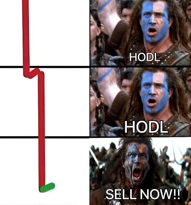 Your Crypto Mentor will be like 😂😂😂
