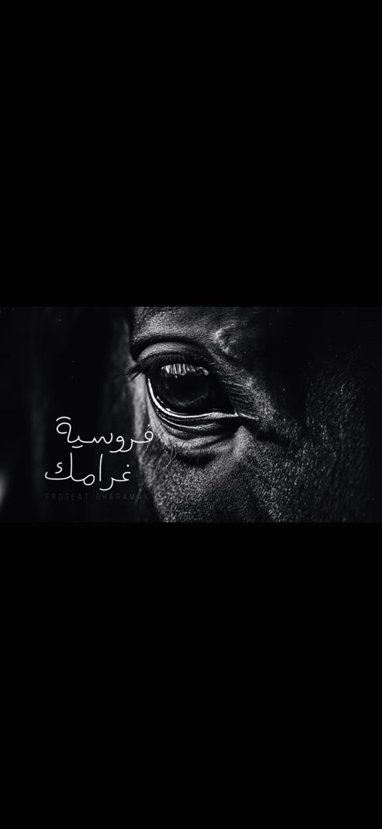 _taleed_'s tweet photo. فروسيّة غرامك

أداء: بندر بن عوير
كلمات: @_taleed_ 
ألحان: @BandarOweer
@yuosef_alshehri 
• https://t.co/Jp3WSX2Z40