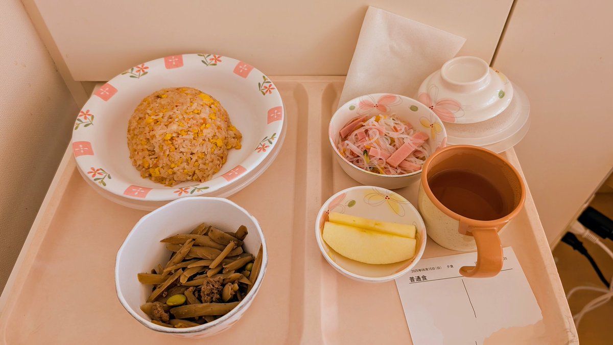 2日ぶりの食事。美味しかったし、リンゴは塩水に通していて気が利いていると思った。何より食べれる位に回復できたことに感謝したい。久しぶりだったせいか顎は疲れた
