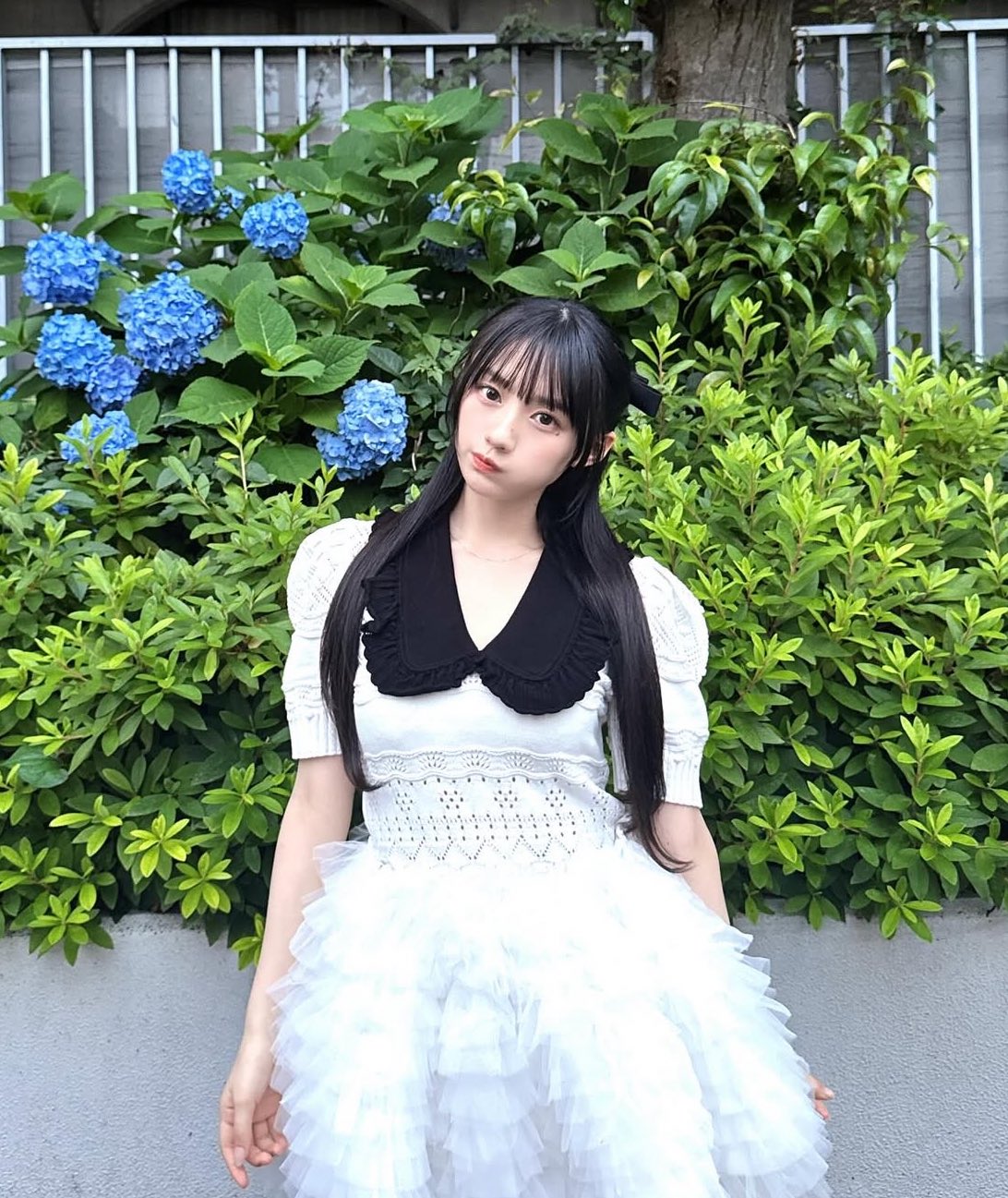 Bibiy. EMILIA COLLAR KNIT WHITE（Bibiy. EMILIA COLLAR KNIT）
