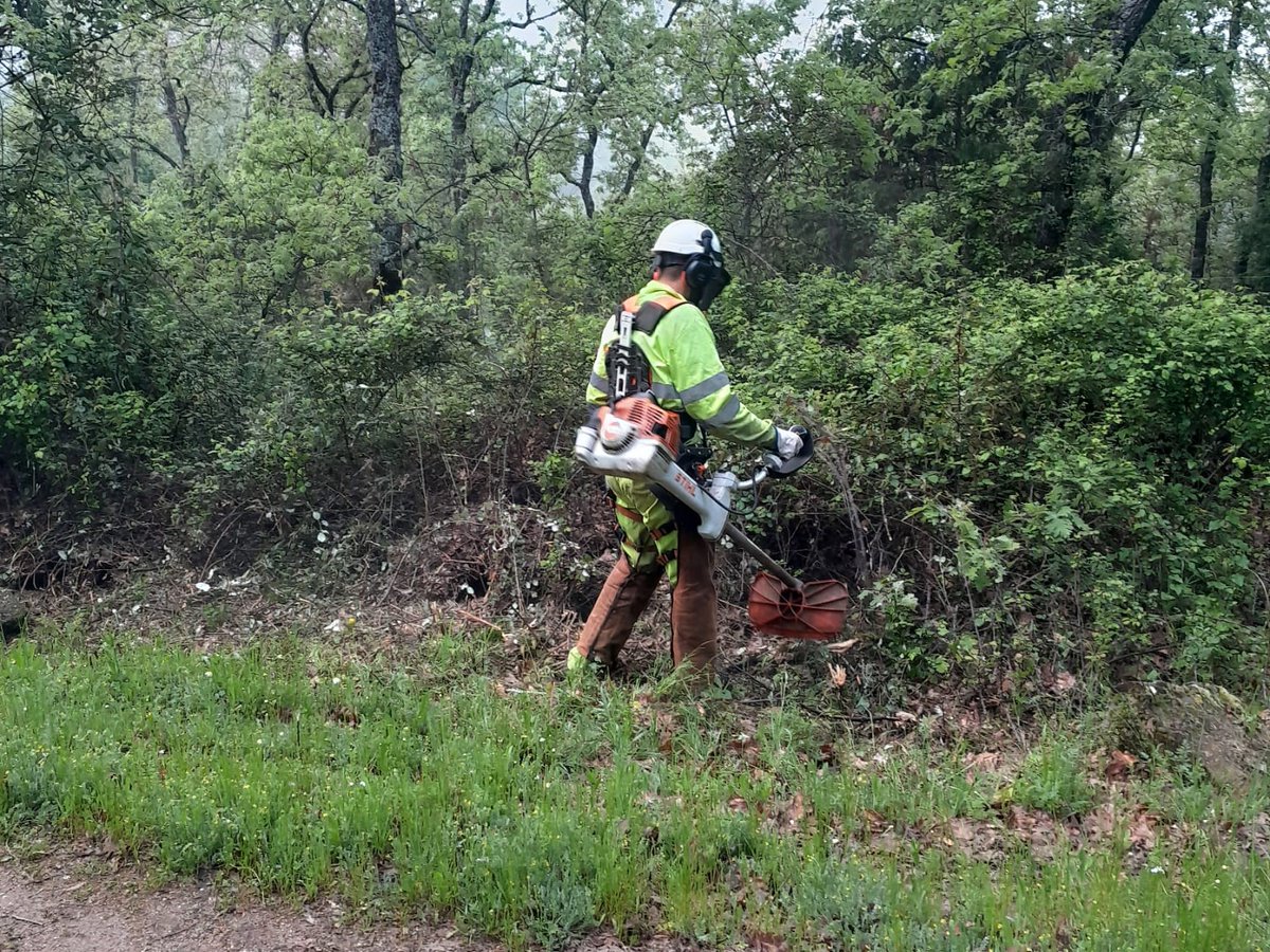 naturalezacyl's tweet photo. En 192 hectáreas del #MUP4 en Arenas de San Pedro y Candeleda #Ávila, @jcyl realiza trabajos de #Prevención mediante tratamientos selvícolas de faja auxiliar de pista en el Camino del puerto de Candeleda #Romeo 14.1 #INFOCAL https://t.co/DqcXQJxY4O