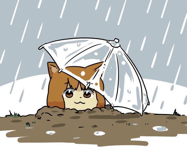 梅雨ですね