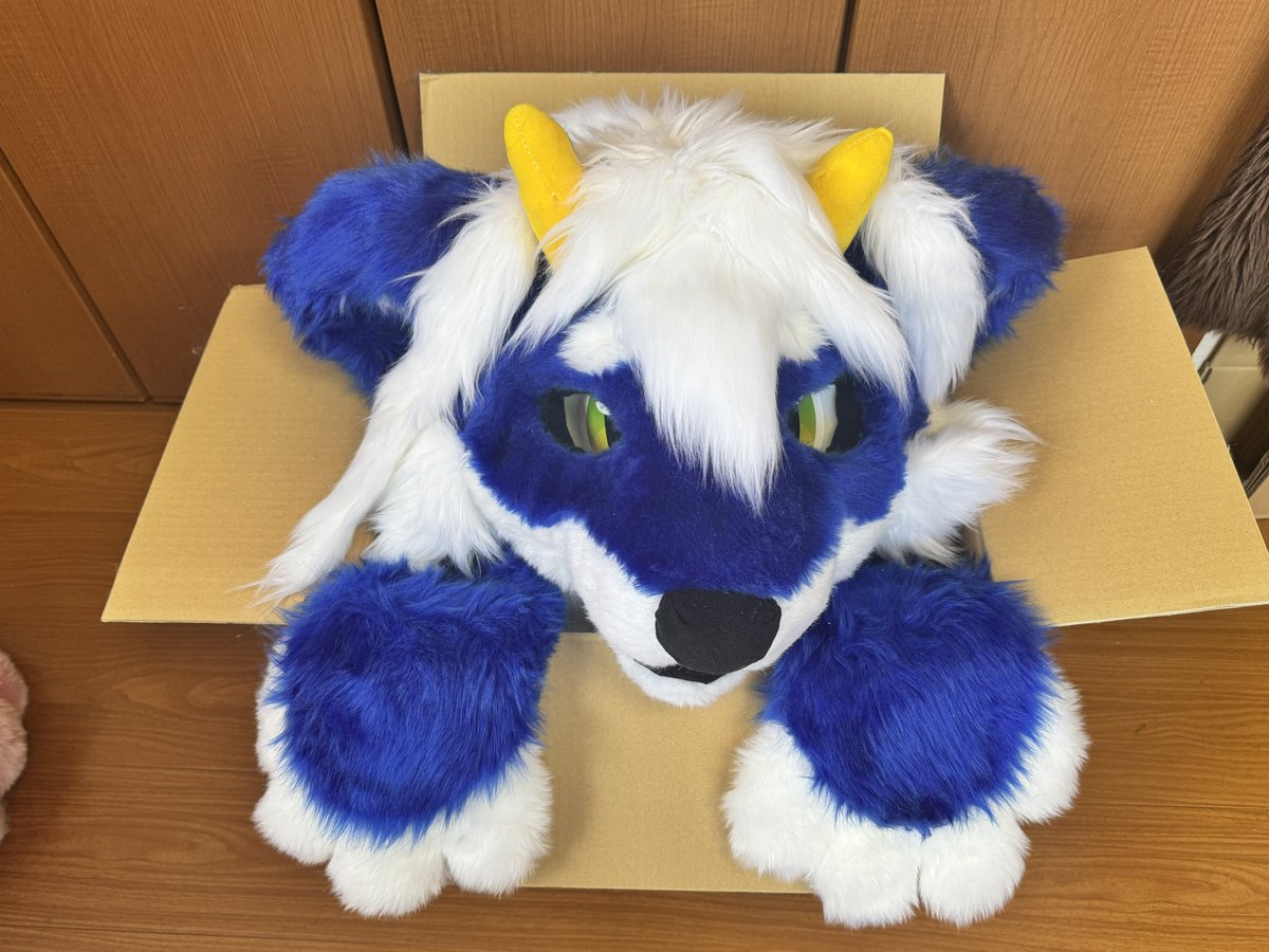 あろー⚓️ tweet media