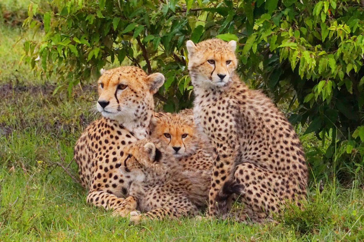 Vandaag is het jouw dag,
waar jij als vader even extra van genieten mag!

Met een grap, een glimlach, sta je altijd klaar,
jij bent echt bijzonder, dat is zeker weten waar!

Een held, een rots, een stoere vent,
de allerbeste die er is — dat ben jij, ongekend!

Fijne Vaderdag! ❤️