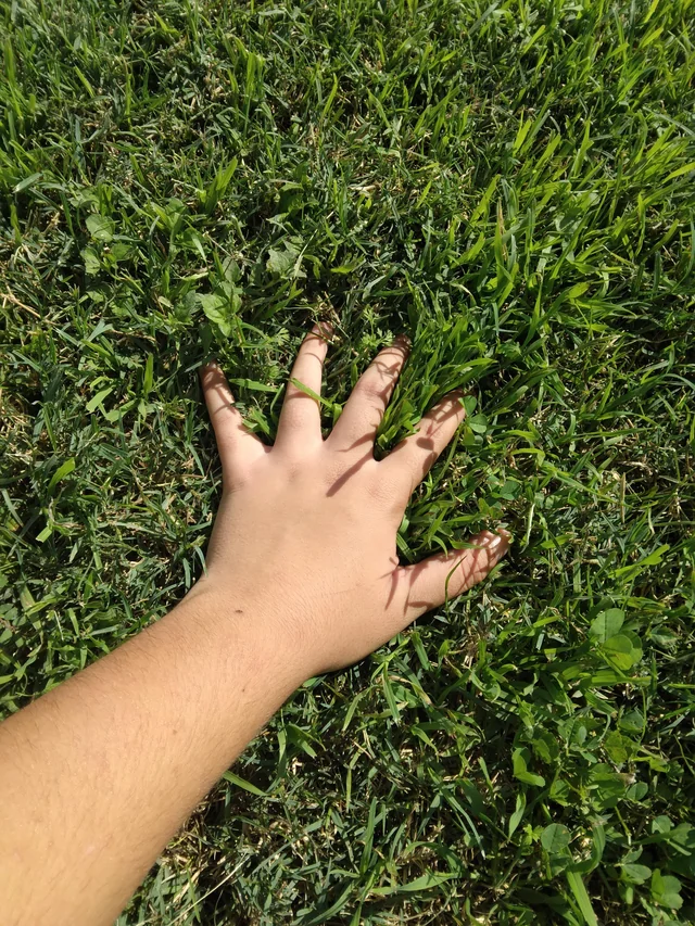 ClemeColima's tweet photo. First time off-chain in weeks. The graphics are wild. #openseatouchgrass https://t.co/PBAznS7T3l