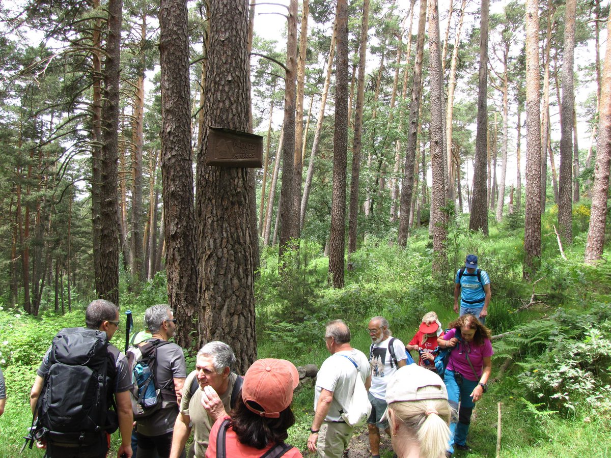 🏞️ Las personas mayores de #Alcorcón se lanzaron a la aventura en una preciosa ruta hasta La Chorranca. Naturaleza, risas y compañía inmejorable. ¡Así da gusto caminar!
👣💚 #SenderismoSenior