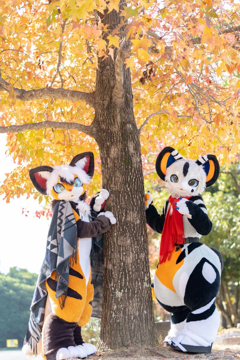 🔰🔰🔰Crepus🔰🔰🔰 tweet media