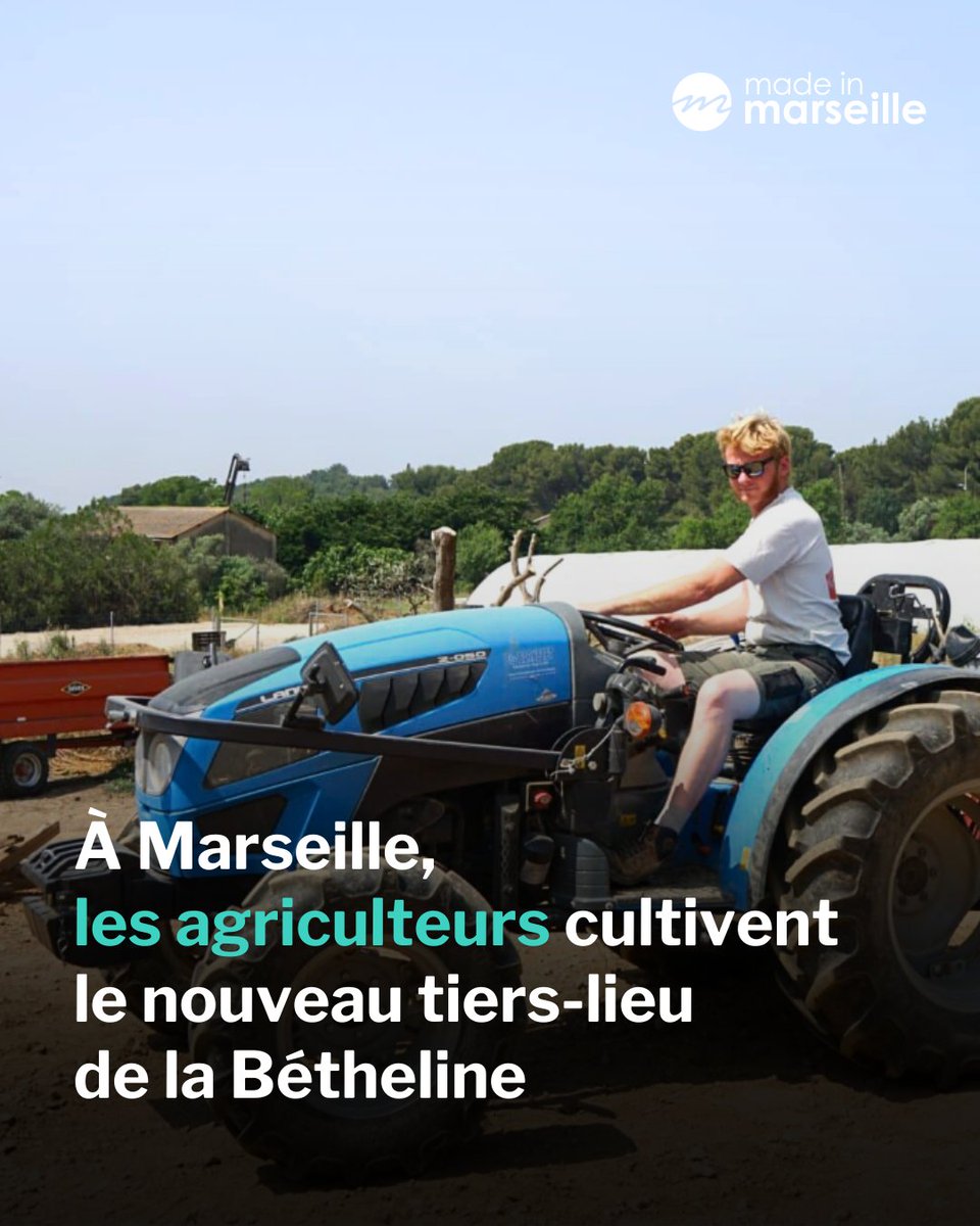 👩‍🌾 C'est un retour aux sources pour Château-Gombert, ancienne terre agricole : un tiers-lieu agroécologique prend forme sur le domaine de la Bétheline.

➡️ tinyurl.com/kx9wkf7d