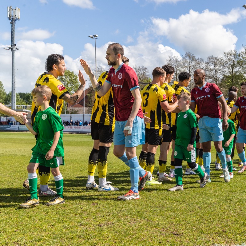 TauntonTownFC's tweet photo. THE PEACOCKS PREVIEW 📝

With pre-season fast approaching, Dan Rowe previews all 10 scintillating matches and what to watch for in each.

👊 New Signings
⚔️ Local Derbies
💜 Home-Grown Talent
🎟️ Ticket Information

#UpThePeacocks 🦚