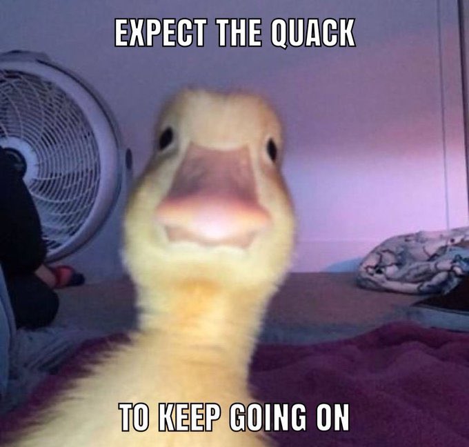 <a href="/JamesWynnReal/">James Wynn</a> Check $harold Wynn

Check the history check everything about community

First run to 70m

Back to 100k

Now 450k

Free