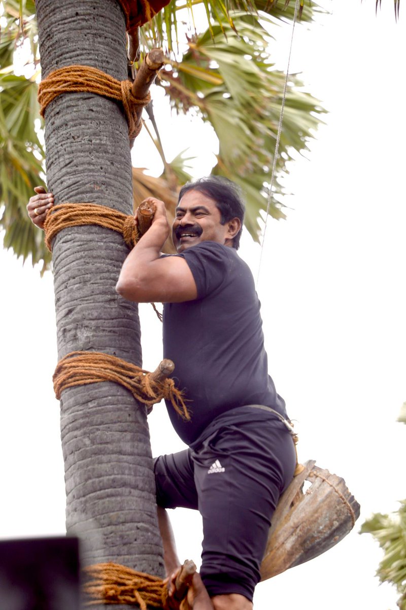 #பனைக்காவலன்_சீமான்