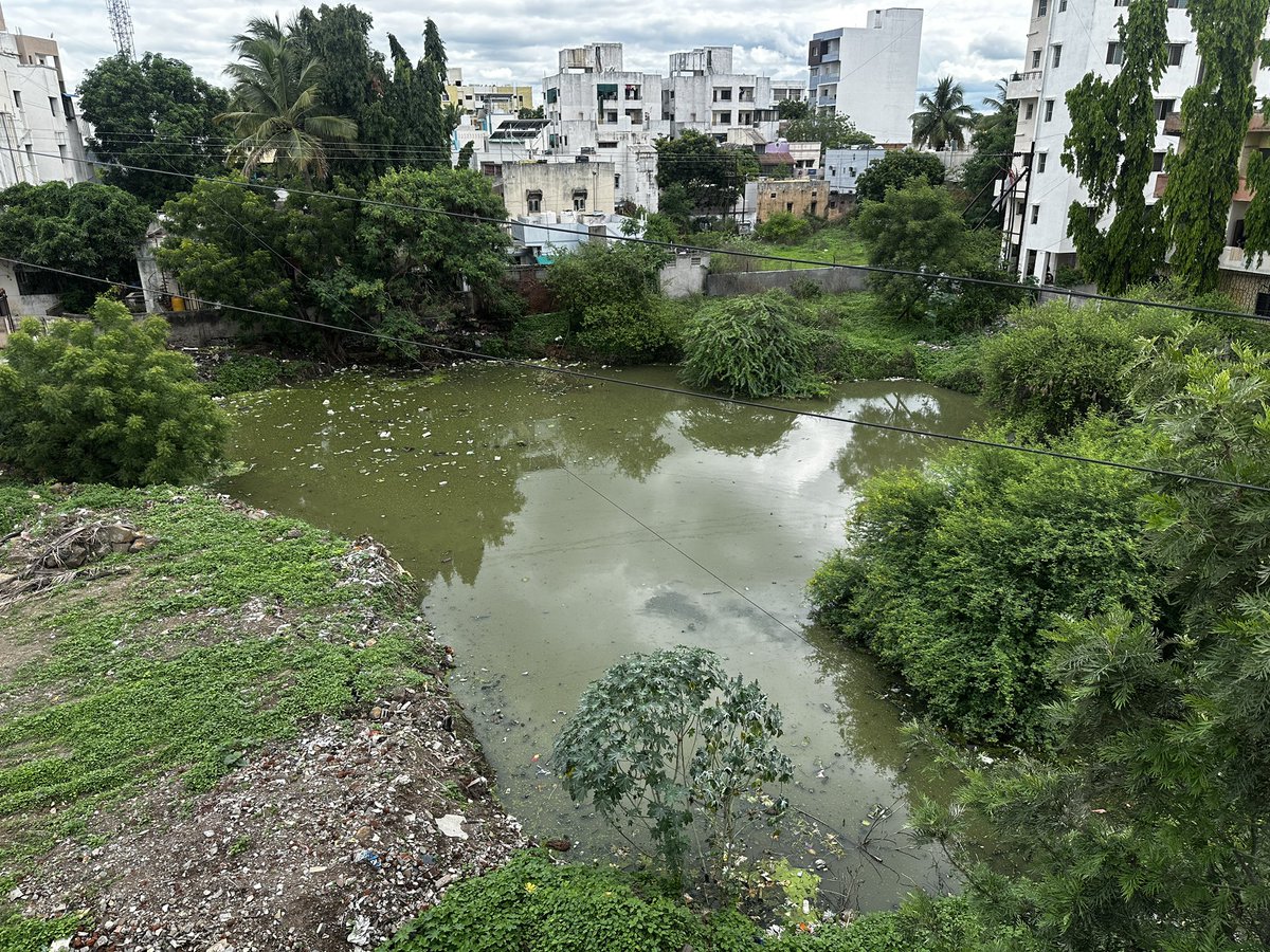 samn5225's tweet photo. @smcsolapur  #SolapurMunicipal Please clean this It is causing Many Diseases And Contaminated water enters in houses of people no management only garbage and drainage water @SachinOmbaseIAS  !!  @Jaykumar_Gore @SolapurSmart https://t.co/crUpHG9jin