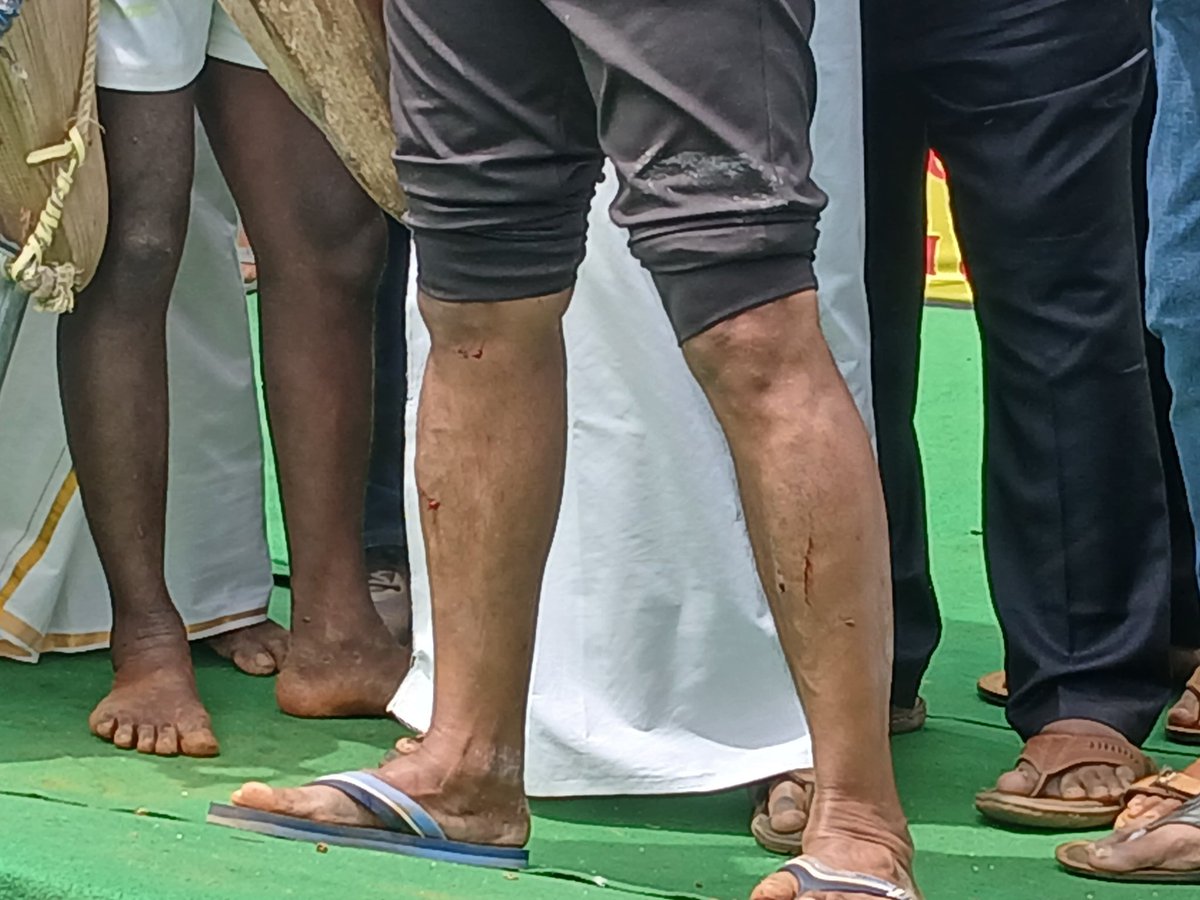 #பனைக்காவலன்_சீமான்