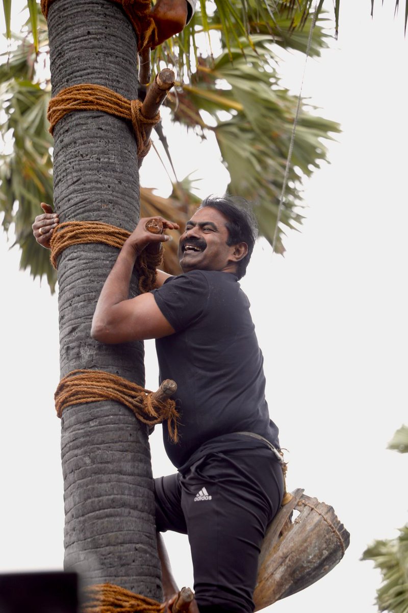 #பனைக்காவலன்_சீமான்