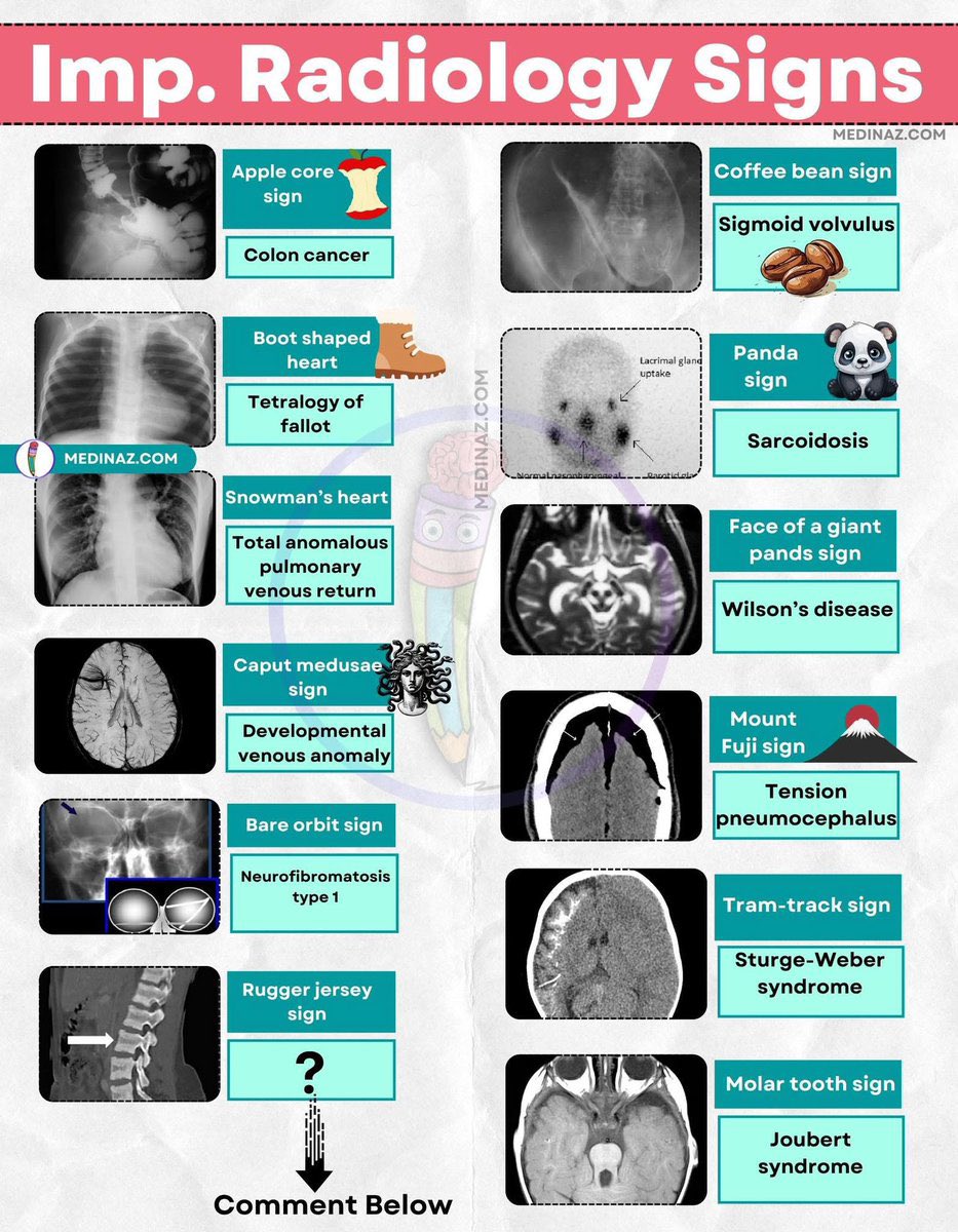 Radiology 🪧 

✨✨✨