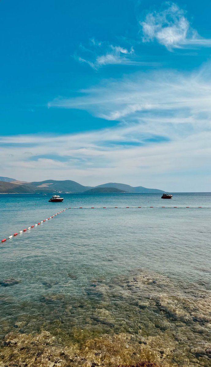 GM to everyone who says GM☀️