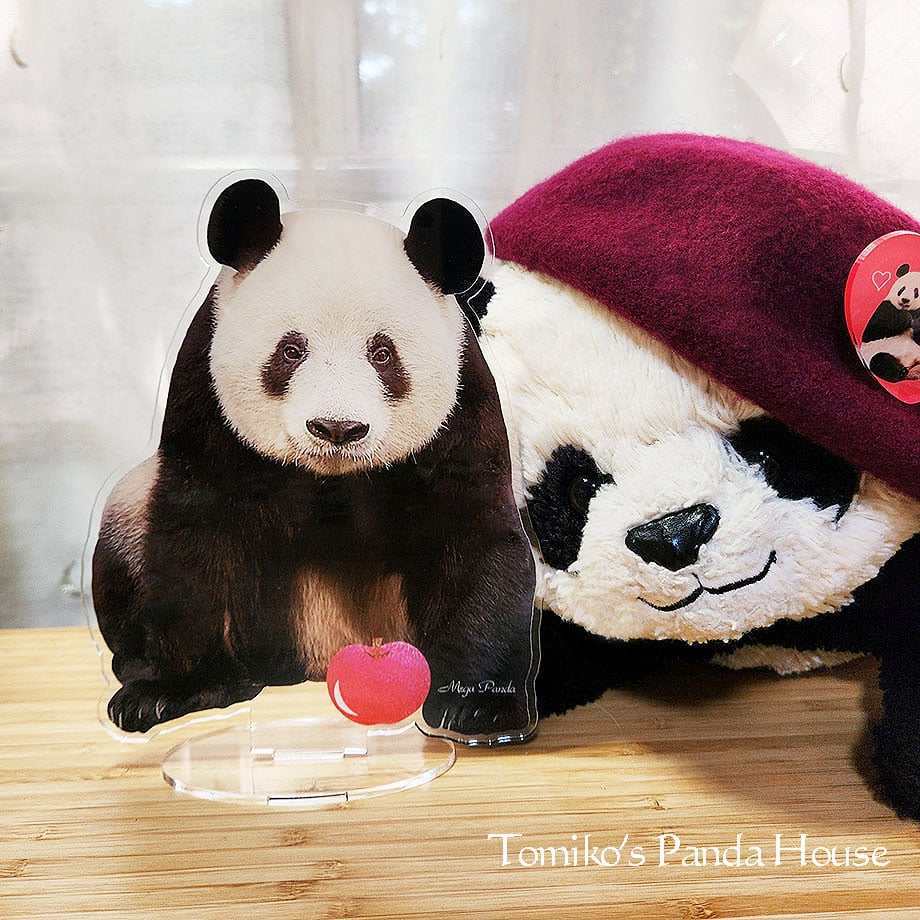 にちよーのーよるー
ゆーくりーおかいものーたのちんでね！くぅぽんちゅかえまーちゅ❣️【1035week】でー100えんおねびきー✨トミコのーちょっぷぅーみにきてね！
pandahouse.stores.jp