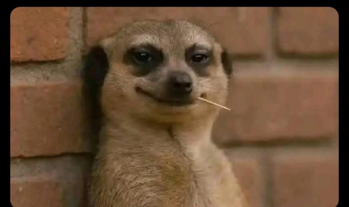 Esther Allen tweet media