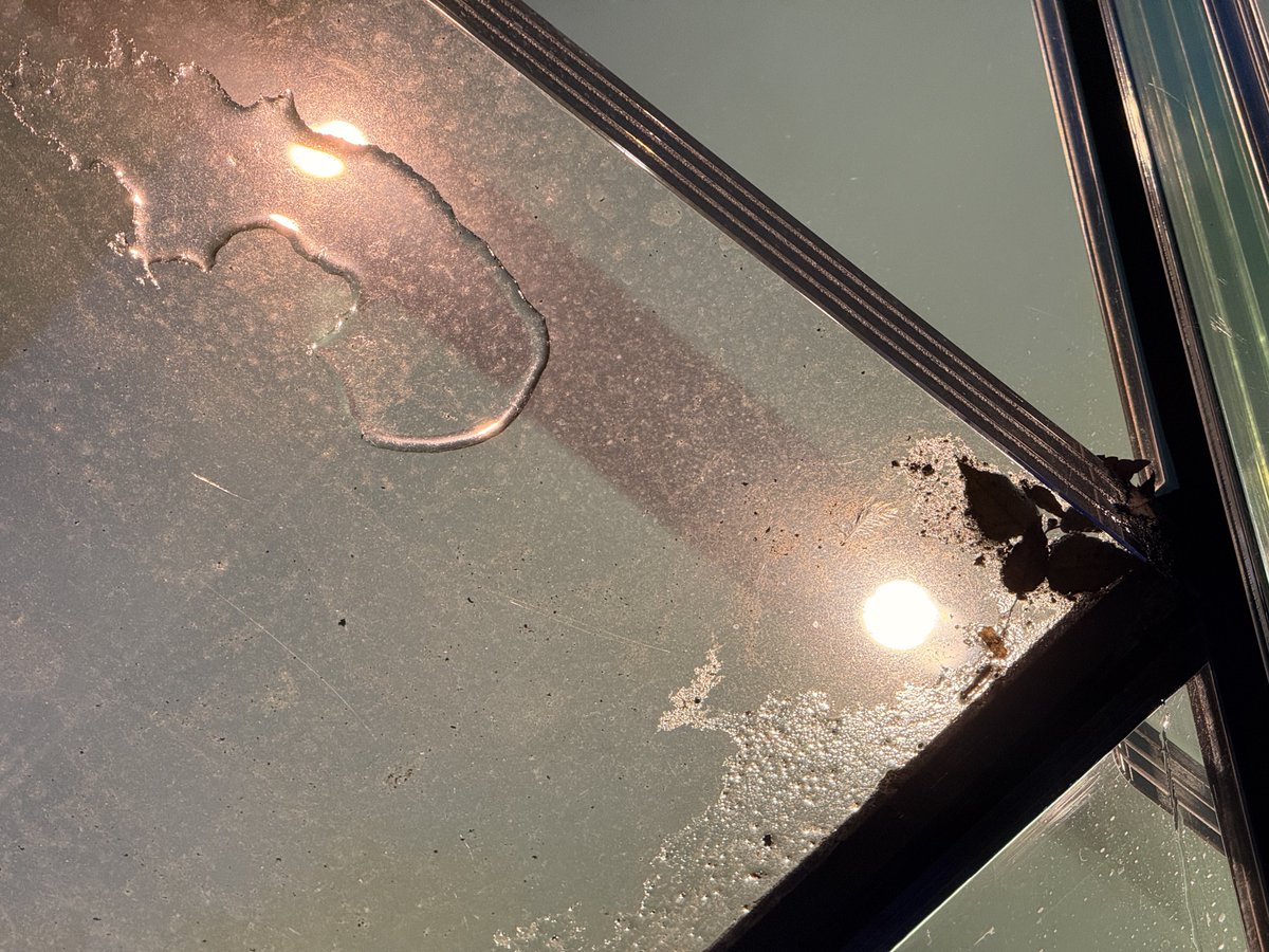Krgn1002's tweet photo. Apple 表参道がLiquid Glass(水垢)に対応してた。
#AppleStore
#AppleOmotesando
#Apple表参道
#LiquidGlass https://t.co/6mHwWO1g0q