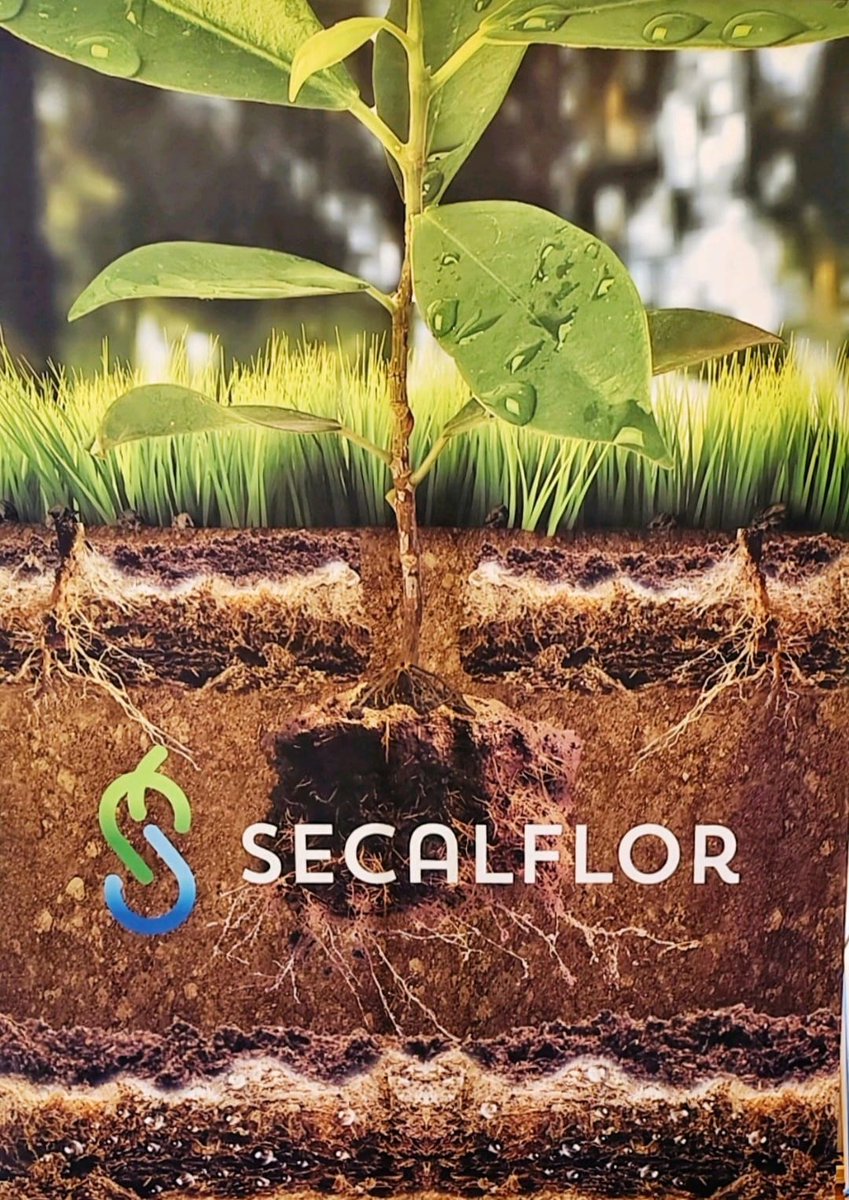 Secalflor tweet media