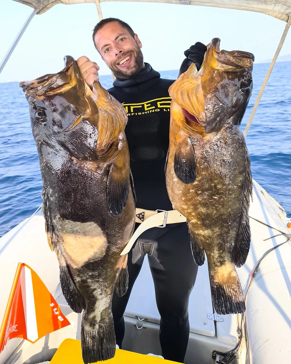 HellasAlchemy's tweet photo. When the fish weigh more than your gear.
⠀
#alchemyfins #alchemyS #alchemyspearfishing #alchemy #teamalchemy #carbonfins #carbon #bifins #spearfish #spearfishing #deepbluewater #bluewater #spearfishing_international #speargun #spearguns #spearo #spearfishing_worldwide #pescasub https://t.co/ZplWJb4cM2