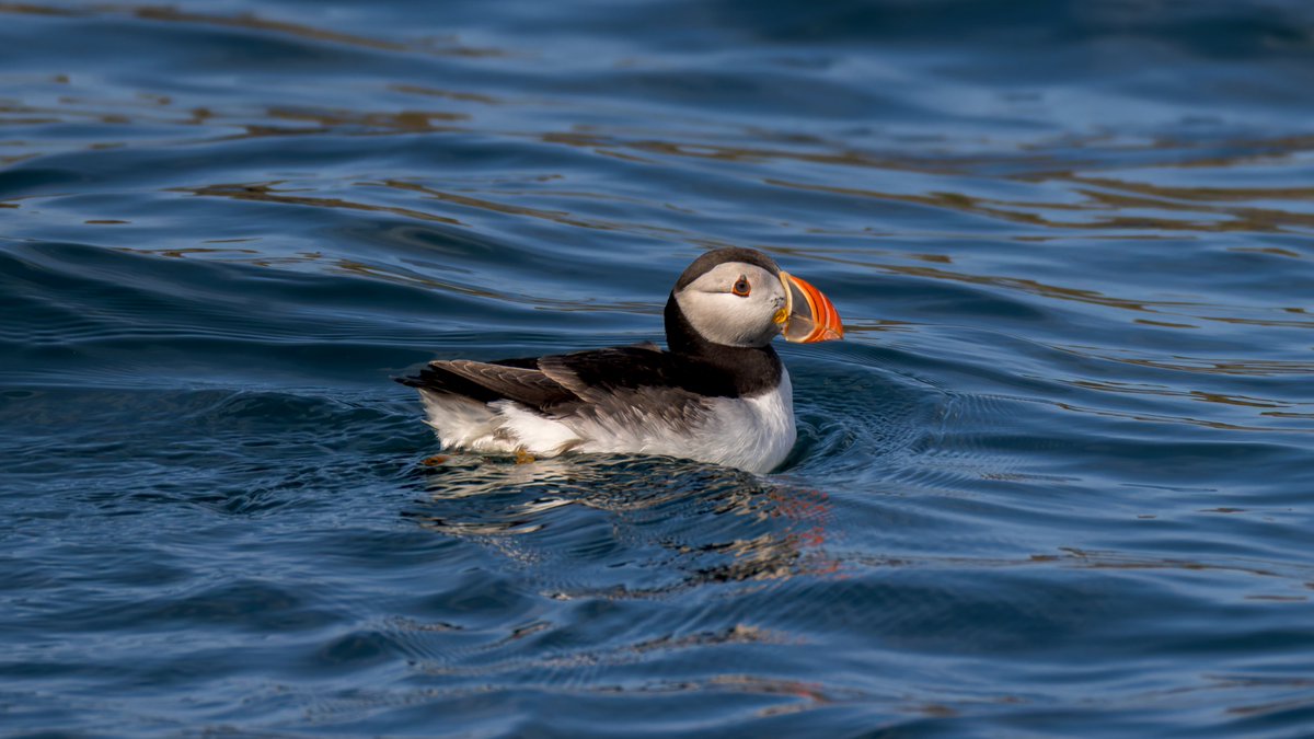 Fraggs Photography 🏴 tweet media