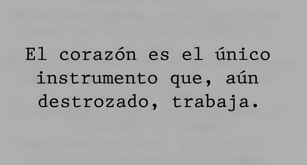 “El corazón es el único instrumento que, aún destrozado, trabaja”. 
Théophile Gautier