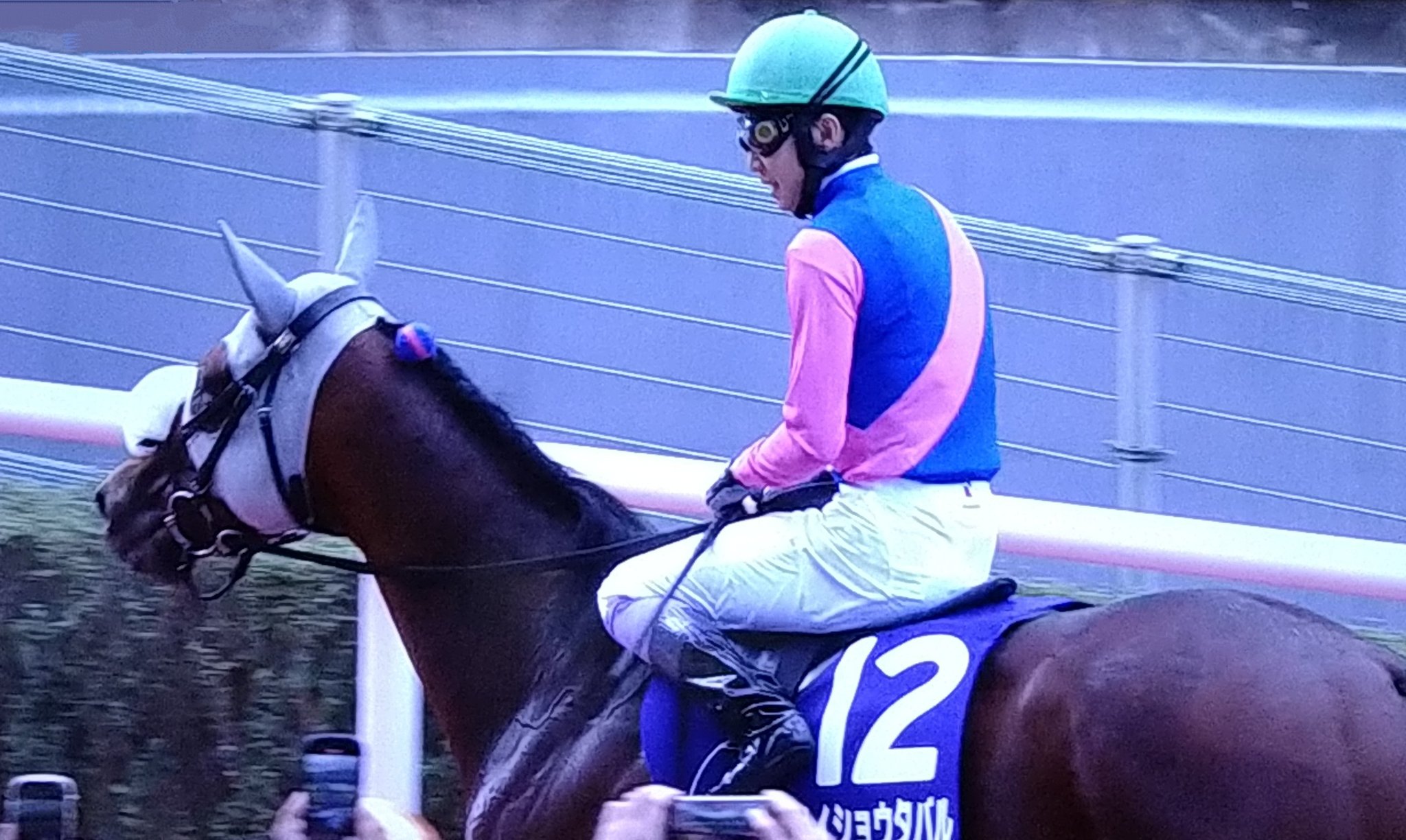 競馬 勝負服 トウショウボーイ トウショウボーイ｜名馬メモリアル｜競馬情報ならJRA-VAN