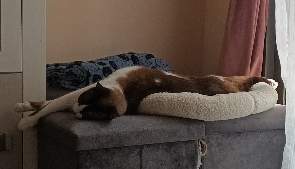 B_Pattern68's tweet image. How is that comfortable 😭😭