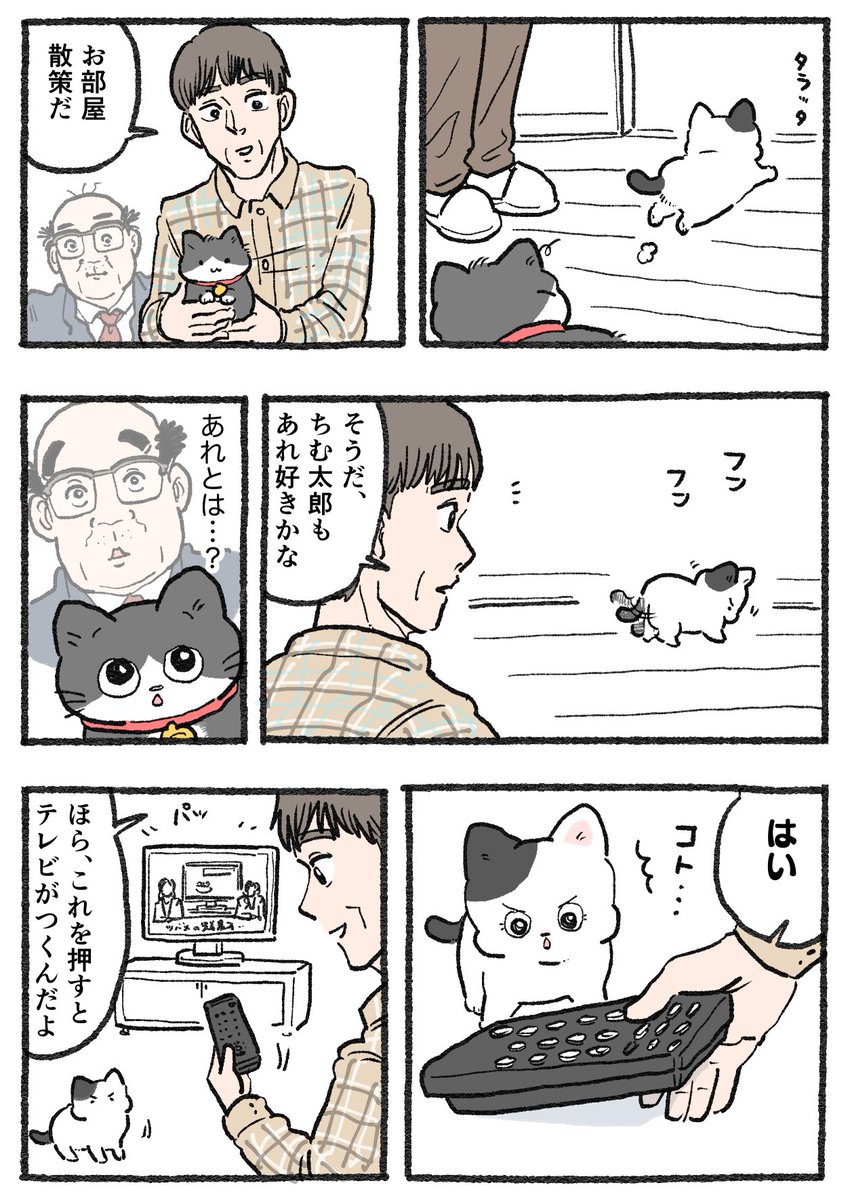 ねこに転生したおじさん。その737