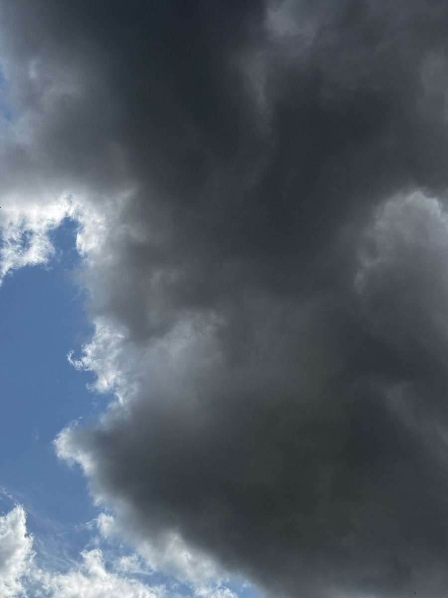 ears_101's tweet photo. What’s this lurking above Mulsanne corner!. #20RLM24 #LeMans24 #24hlemans @RSL_Studio https://t.co/FZMLS8zMML