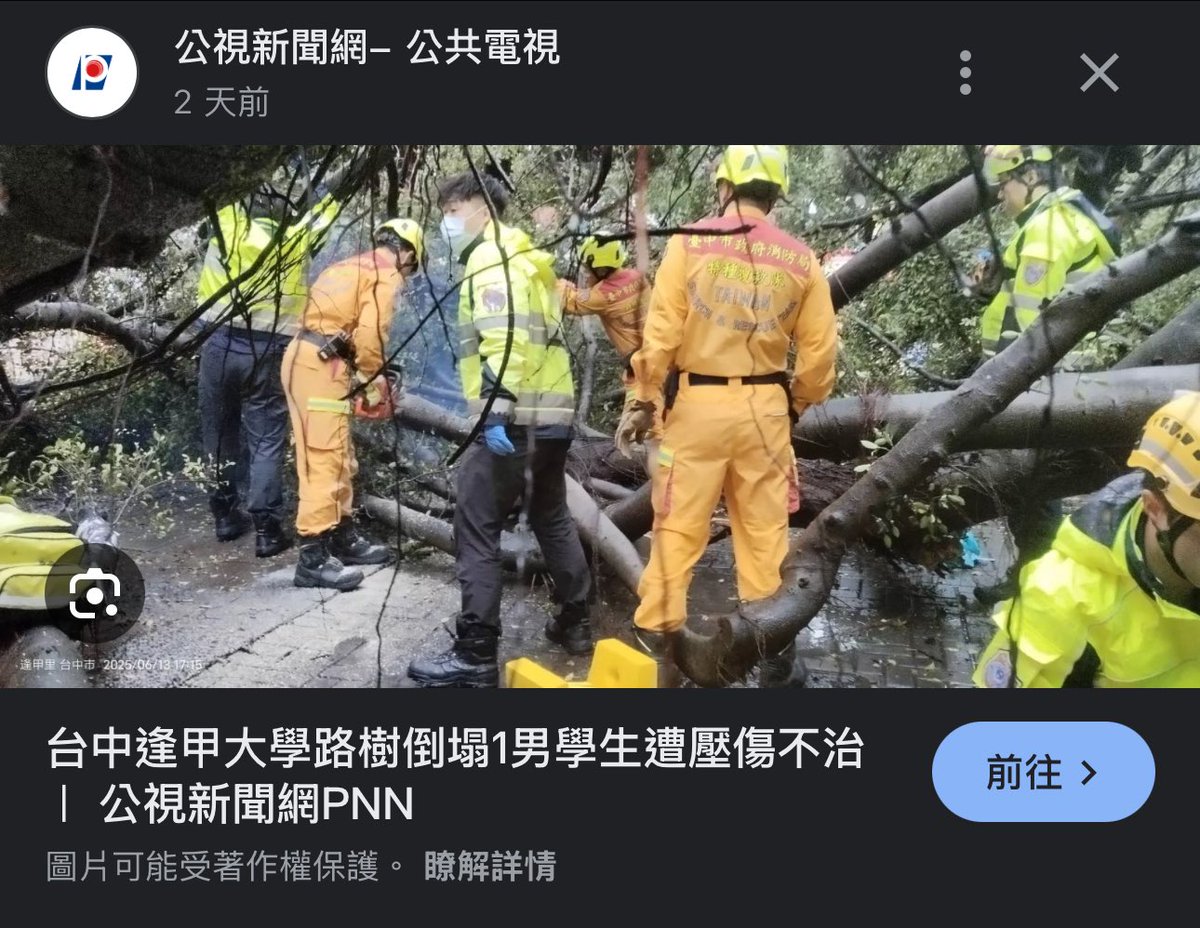 Taiwan911's tweet photo. 土包子館長：

哇！中國的樹好美，但是臺灣台中的樹更美更大，在盧媽媽假市長偉大的領導下，竟然會壓人，取人性命。🙏

#看你土包子何時會嘴盧秀燕 https://t.co/oKu93nj74t